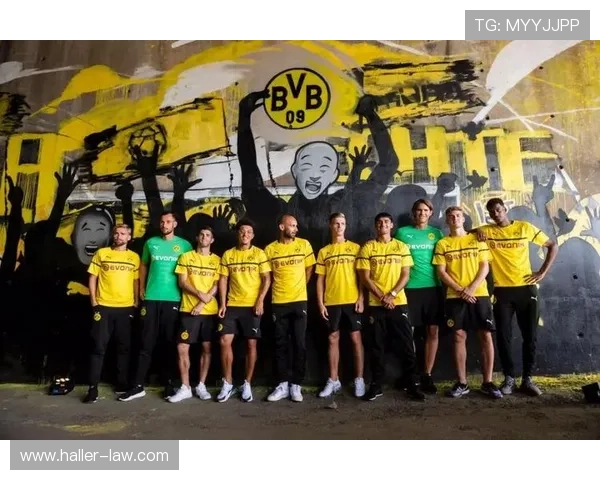 阿利松职业生涯转会费总和及转会历程解析