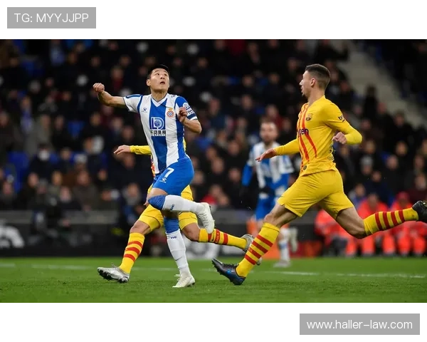 足球新星综合评