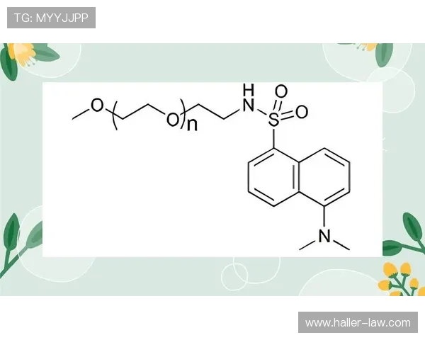 祖布门迪高触球占比与低失误率的稳定性解析
